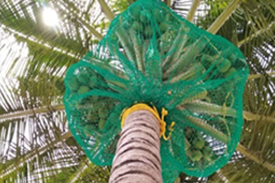 Coconut Safety Nets In Hyderabad